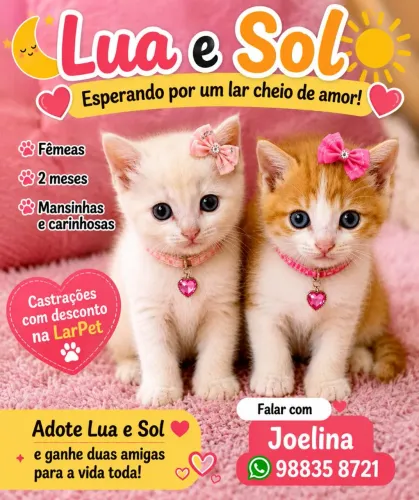 LUA & SOL 