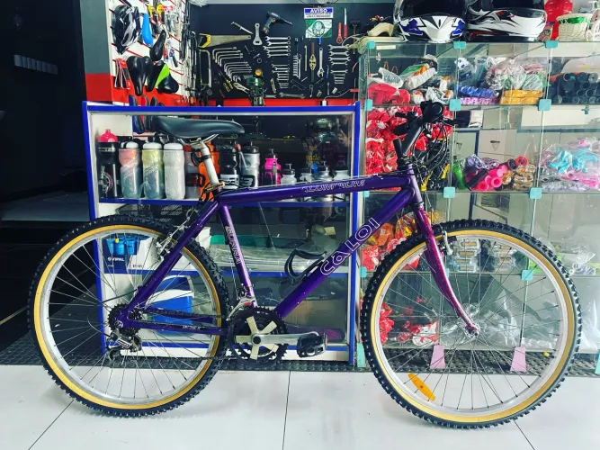 Bicicleta Caloi Aluminium Raridade