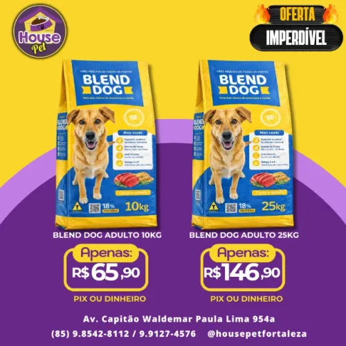 Racao Blend Dog Adulto