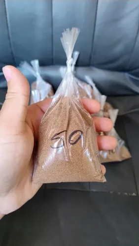 Cisto de Artêmia