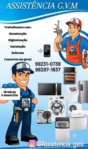 Assistência técnica especializada