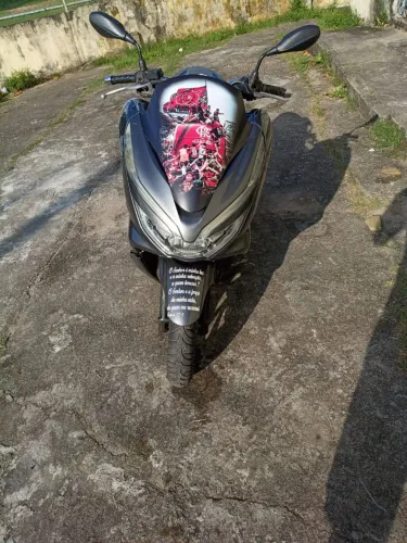Vende-se pxc em dia