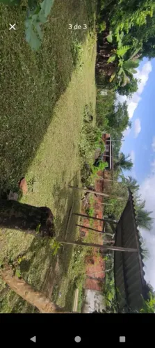 Terreno no distrito de Leandrinho em dias davilla