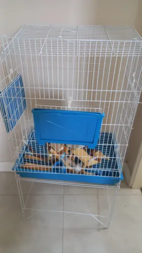 Gaiola para passaros