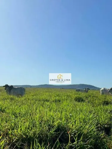 Fazenda de Dupla Aptidão à venda em Peixes/TO.