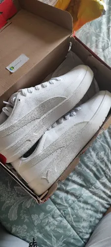 Tenis