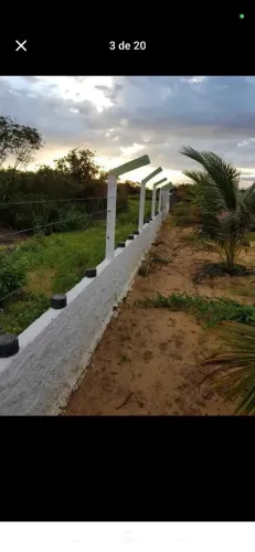 Lote murado com pomar ideal para área de lazer