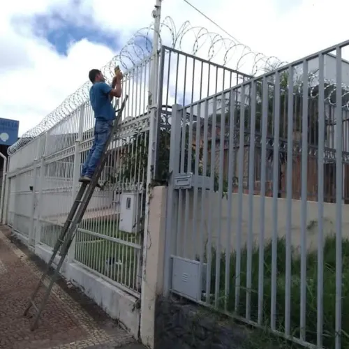 Atacado e varejo Concertina de todos os tamanhos e modelos 
