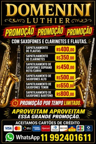 DOMENINI LUTHIER//consertos/revisão e reforma em instrumentos de sopros