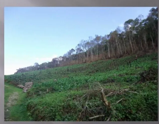 Área em Rio Branco do Sul