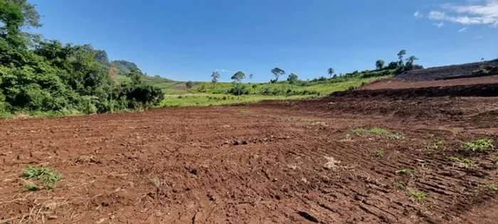 Área de terra na Sede Figueira
