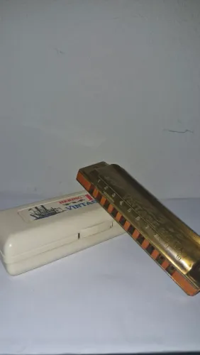 Gaita de boca Hering Vintage com case