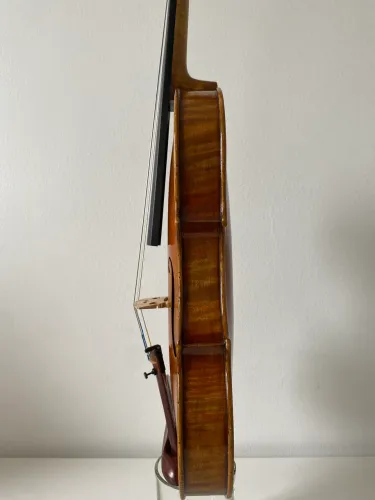 Violino Disen Tim