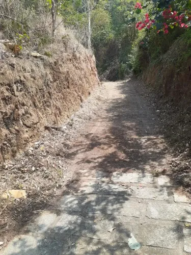 Terreno à Venda com 3.529 metros quadrados em condomínio de alto padrão em Petrópolis.