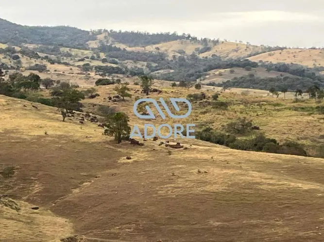 Sitio Encantador na Serra Paulista - São João da Boa Vista/SP