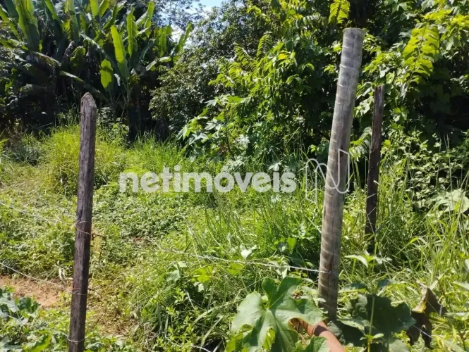 Venda Lote-Área-Terreno Encruzilhada São Pedro dos Ferros