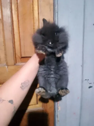 Vendo por 70 reais leia o anúncio 