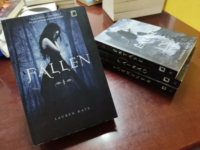 Série de livros Fallen (Fallen, Tormenta, Paixão e Êxstase) de Lauren Kate