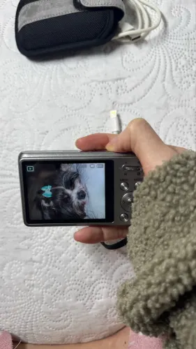 ? Samsung PL170 DualView