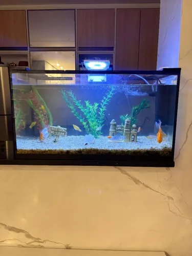 Lindo Aquário