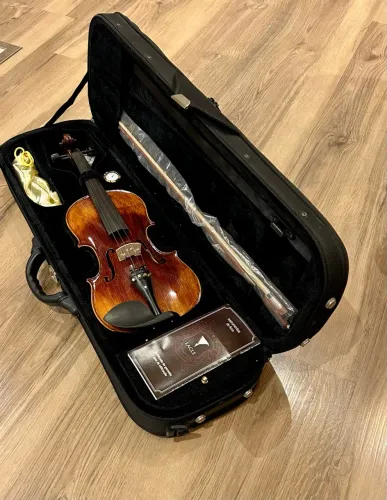 Violino