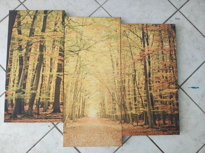 Conjunto de 3 Quadros Decorativos - Paisagem de Floresta (Aceito propostas)