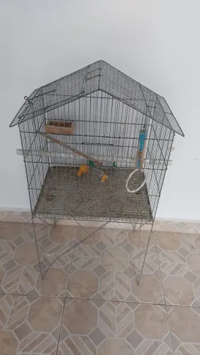 Vendo viveiro pra Calopsita