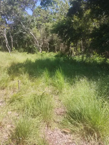 Terreno