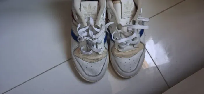 Tenis