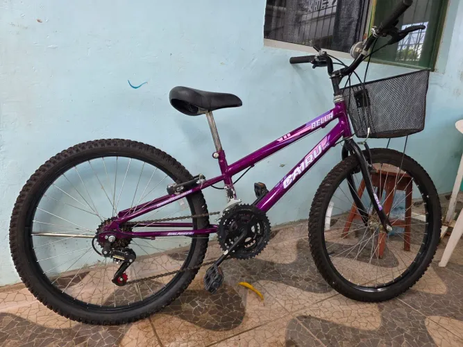Bicicleta aro 24
