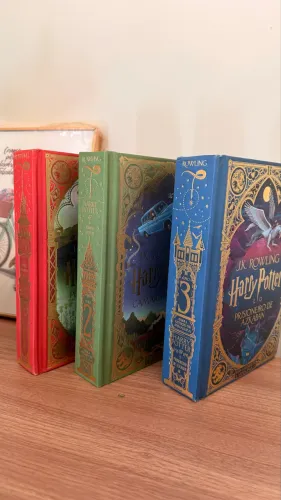Livros ilustrados Harry Potter