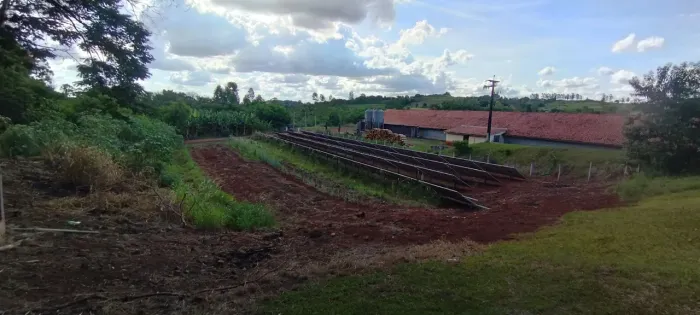 Paiçandu-pr, 7.3 alqueires, com 3 Barracões de Frango produzindo, R$ 7.500.000,00
