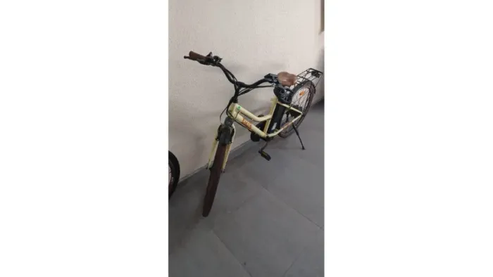 bicicleta elétrica pedal assistido