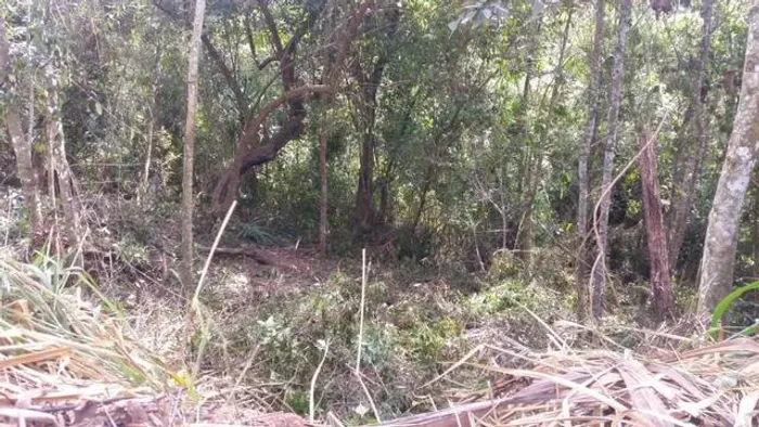 Lote com 580m2 em Santana de Parnaíba, escriturado, só R$170.000,00 e pego carro no pgto