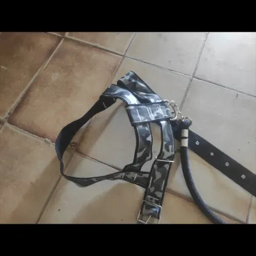 Coleira Peitoral + Guia para Cachorro (Novo / Sem Uso) - Estampa Camuflada Cinza