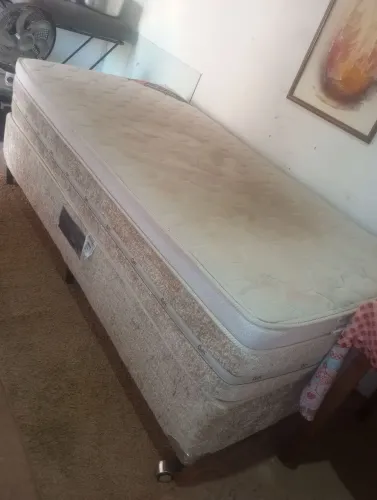 Cama solteiro box castor