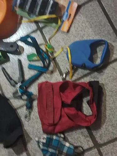 Kit pra seu pet