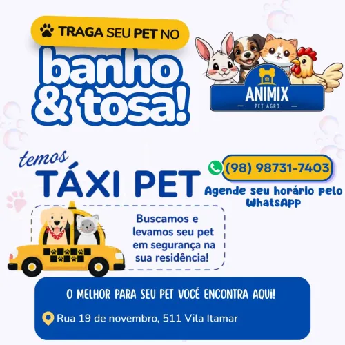 Serviço de Banho e Tosa - Táxi Pet (Cães e gatos)