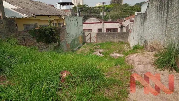 Lote / Terreno em Vila Maria Alta - São Paulo, SP