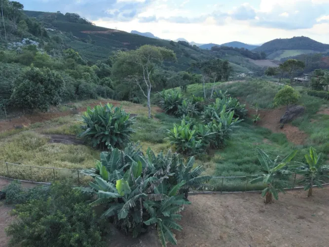 Chácara no Córrego Boa Vista em Manhuaçu MG