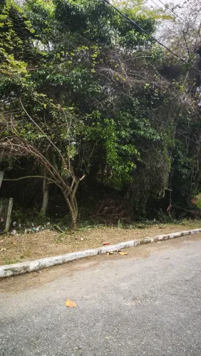 Saquarema - jardim 