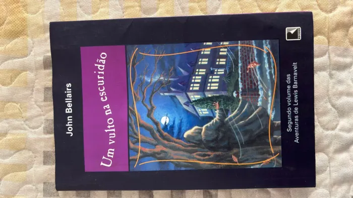 LIVRO UM VULTO NA ESCURIDÃO