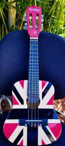Vendo cavaquinho waldman zerooo