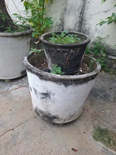 Vaso grande e um pequeno 
