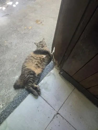 Doação
