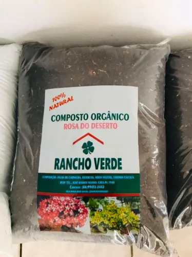 Vende se adulto de planta