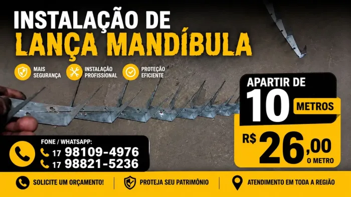 Proteção patrimonial 
