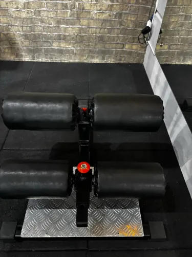 Vendo Sissy Squat