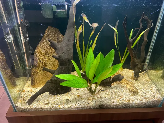 Vendo Aquario completo