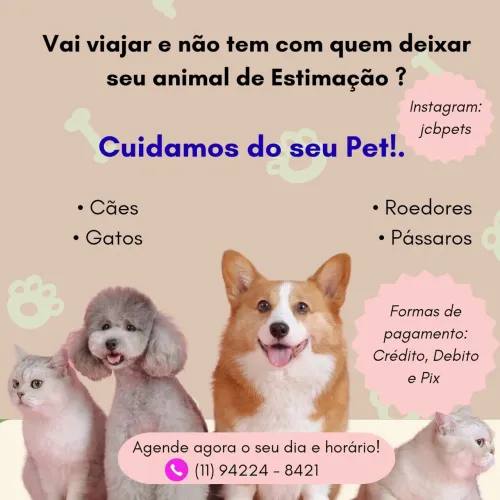 Pet 